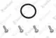 VAILLANT-O-Ring-mit-Schrauben-VKK-226-476-u-w-Vaillant-Nr-981250 gallery number 1